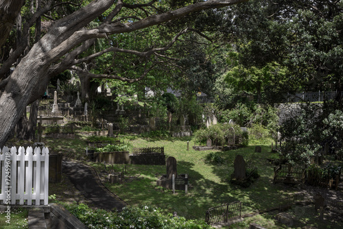 Bolton street cemetery. Tombstones. Graveyard. Wellington New Zealand.