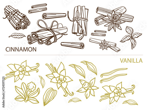 Isolated vector set of vanilla and cinnamon. Vanilla sticks, flower and pods. Aroma, food. Vector hand drawn illustration. Braun and chocolate colors. Cinnamon sticks and star anise. Savory spices.