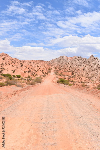 Route désertique 