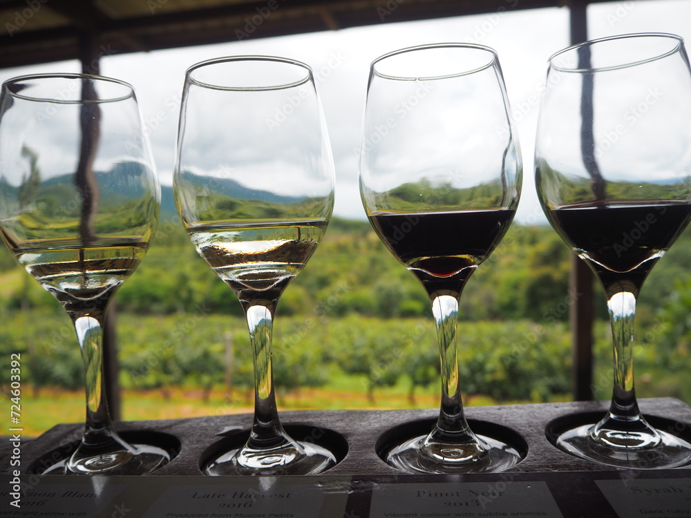 Four wineglasses filled with white wine and red wine. Winetasting at a vineyard. The venue is overloooking a field. Four wineglasses filled with white wine and red wine. Winetasting at a vineyard. The venue is overloooking a field.