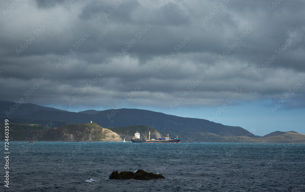 Rocky coast at Breaker Bay. Wellington New Zealand. Tasman Sea. Freightship in the back.