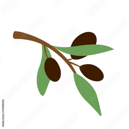 petite branche d'olivier avec deux olives