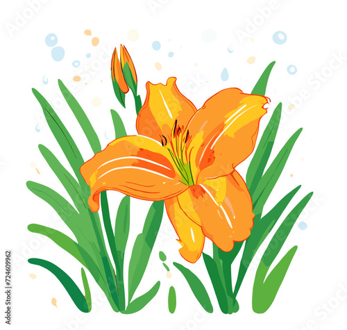 bouquet of orange lilies