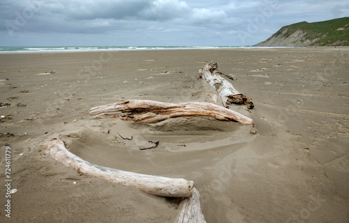 Thriftwood at beach. Coast Porangahau beach. Hawke's Bay New Zealand. photo