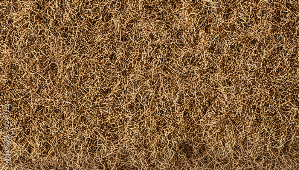 Close-Up View of Natural Straw Texture backdrop Close-Up View of Natural Straw Texture backdrop
