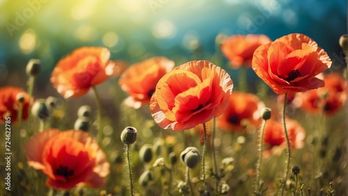 Poppies In The Sunny Field With Abstract Bokeh