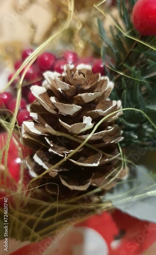 a pine cone and a branch, closeup