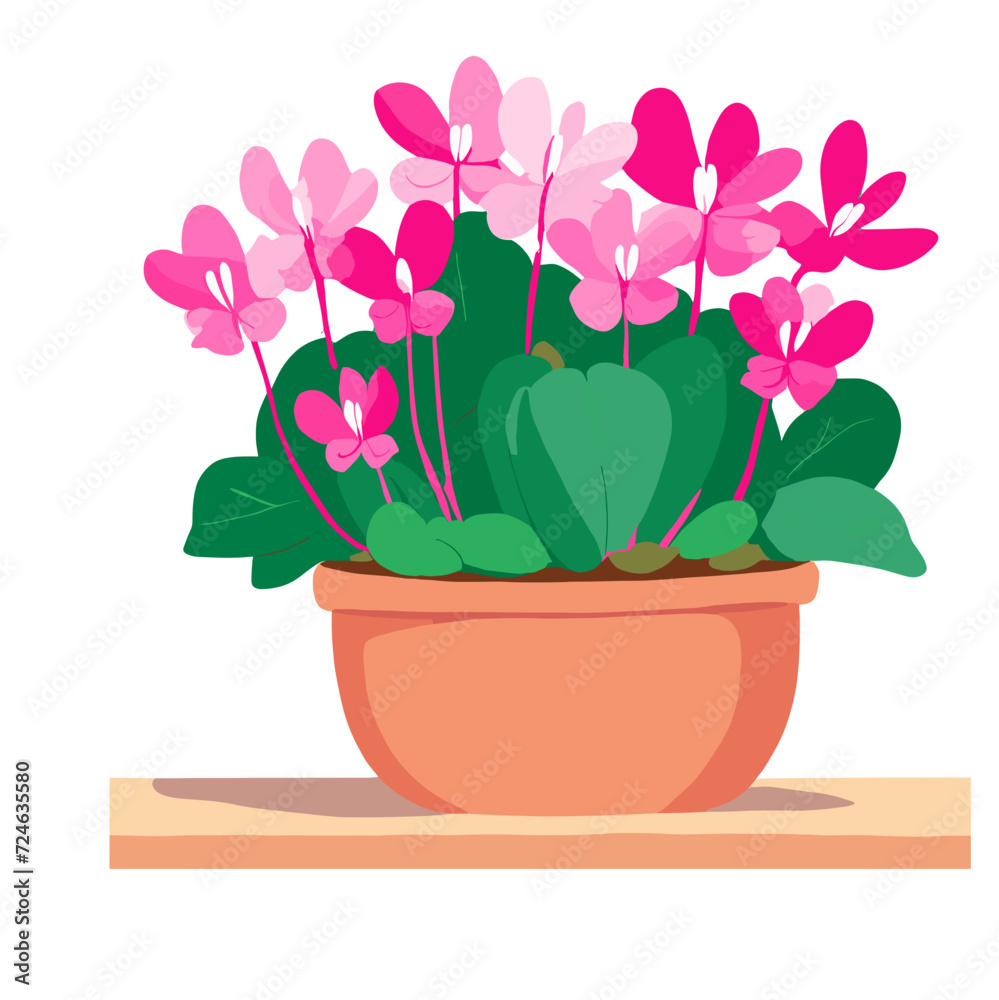pink flower in a pot