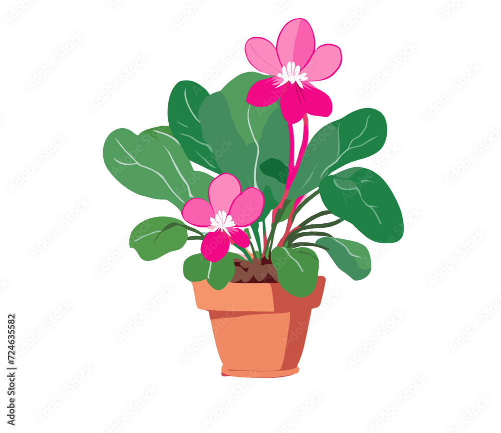 pink flower in a pot