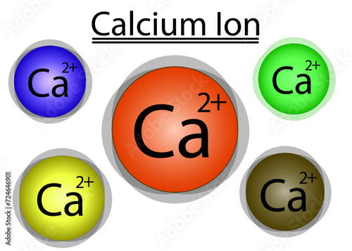 Calcium Ion
