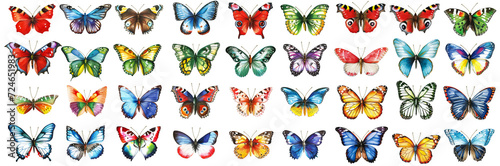 This image is a collection of colorful butterflies drawn in a watercolor style, each with a unique and vibrant color and pattern on their wings. They can be used for educational purposes to illustrate © Yevheniia