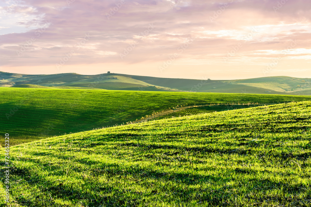 green field in countryside farm at sunset in evening light. beautiful spring landscape in hills. grassy field and hill. rural scenery green field in countryside farm at sunset in evening light. beautiful spring landscape in hills. grassy field and hill. rural scenery