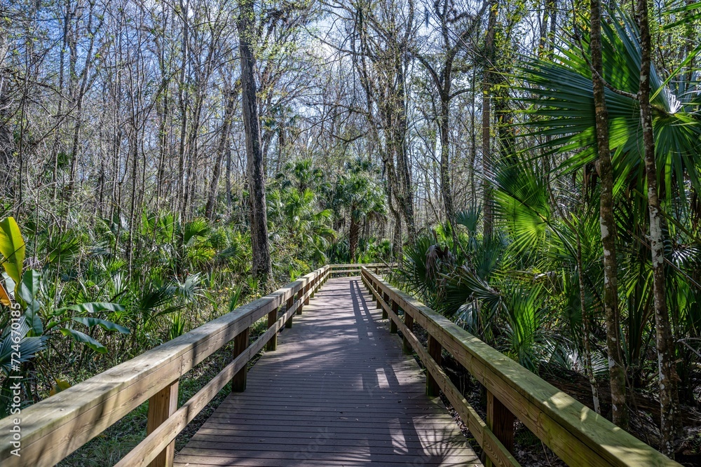 Obraz premium central florida