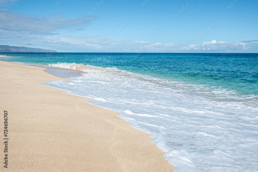 Fototapeta premium oahu island in hawaii northshore ocean scenes