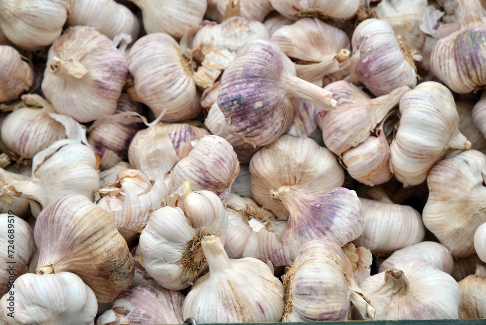 Fresh garlic on market table. Vitamin healthy vegetables. Fresh garlic on market table. Vitamin healthy vegetables.