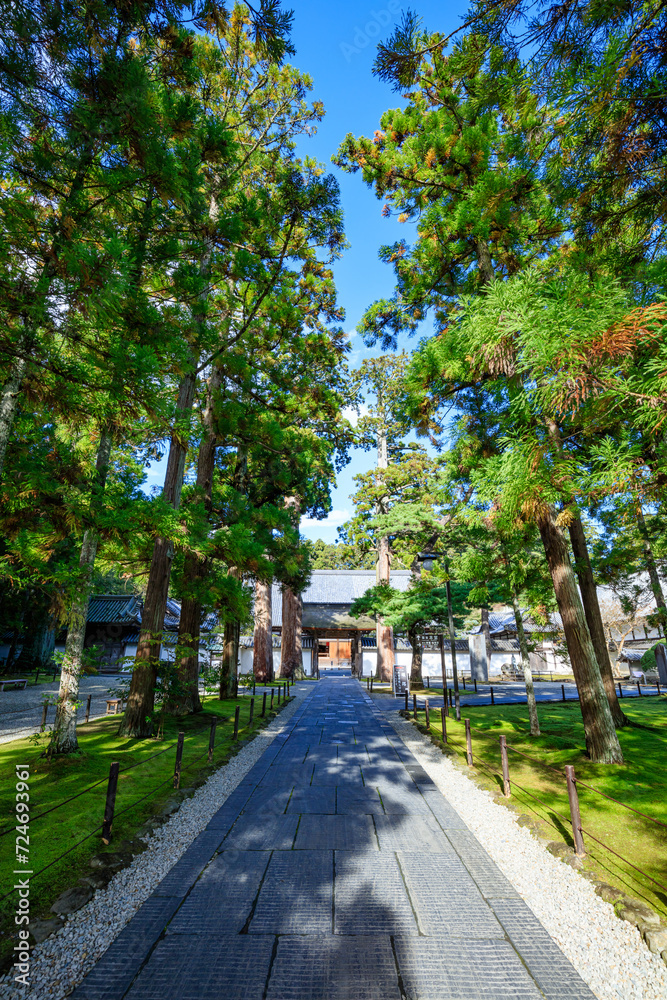 初秋の瑞巌寺　宮城県松島町　Zuiganji Temple in early autumn. Miyagi Pref, Matsushima town.