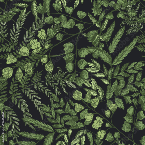 Natural seamless pattern with ferns and green herbaceous plants on black background. Gorgeous backdrop with wild forest herbs. Elegant botanical vector illustration for wrapping paper, textile print