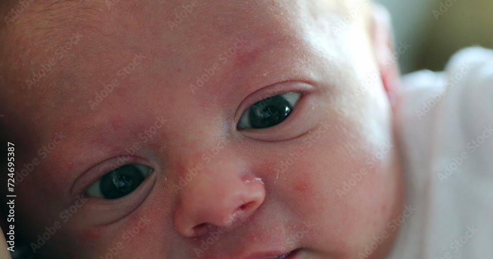 Newborn baby close-up first days of life awake observing learning about the world Newborn baby close-up first days of life awake observing learning about the world