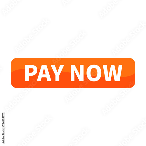 Pay Now Button Text In Orange Rectangle Shape For Sale Promotion Business Marketing Social Media Information Announcement
