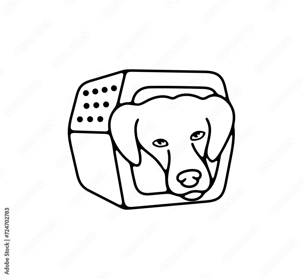 Dog carrier, dog, animal and pet. Doggy and pawl, puppy, nature, veterinary and cynology, illustration Dog carrier, dog, animal and pet. Doggy and pawl, puppy, nature, veterinary and cynology, illustration