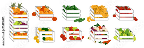 Fruit and vegetables in wooden boxes set. Agriculture products for market. Organic food, eco eating from local farm. Autumn harvest storage. Flat isolated vector illustration on white background