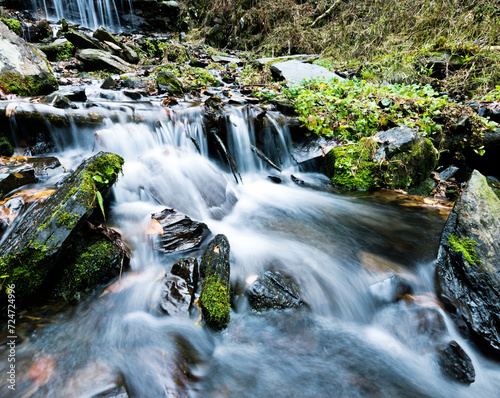 Mossy rocks in stream with smooth flowing water