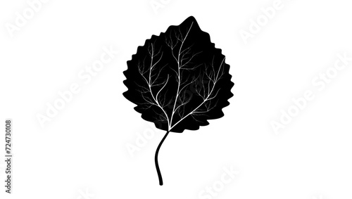 aspen leaf, black isolated silhouette