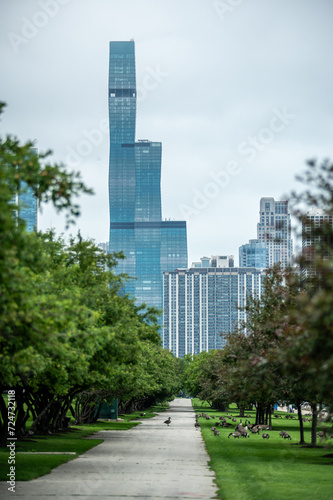 city of chicago skyline and street scenes © digidreamgrafix