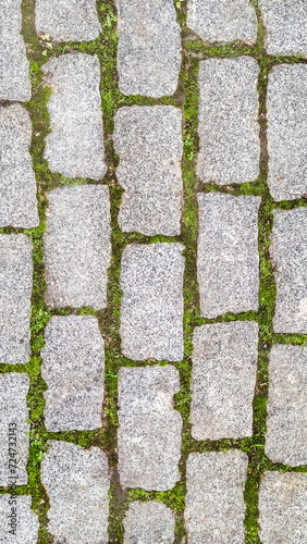 Green grass sprouted between bricks of cobblestone path, concept of harmonious fusion of city and nature, vertical frame