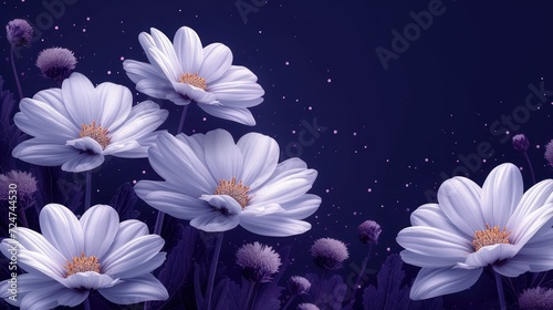  a group of purple and white flowers on a dark blue background with drops of water on the petals and in the middle of the petals, the petals are daisies.