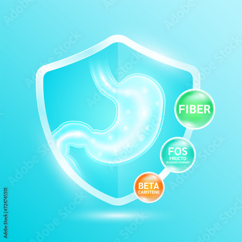 Stomach in glass shield. Fiber, FOS fructo oligosaccharides and Beta carotene. Vitamins supplement nutrients necessary for health. Create balance for the gut. Medical health care. Vector.