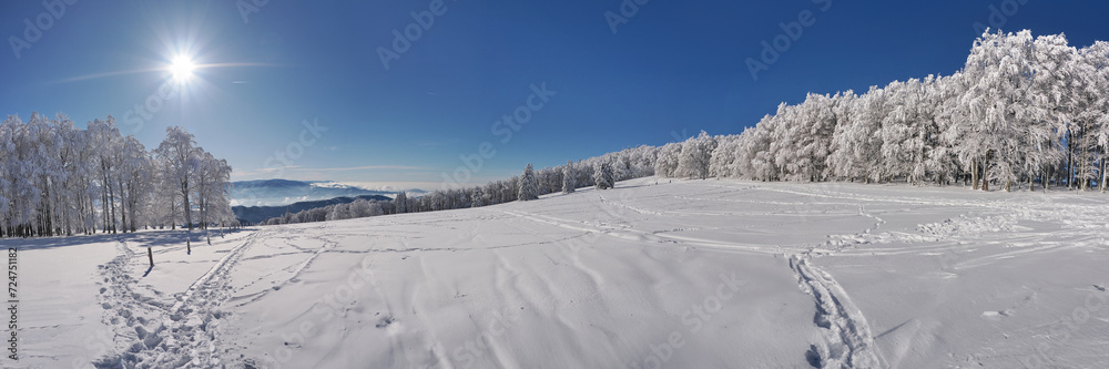 Schwarzwald im Winter - Winterlandschaft mit Schnee und Sonne - Panorama