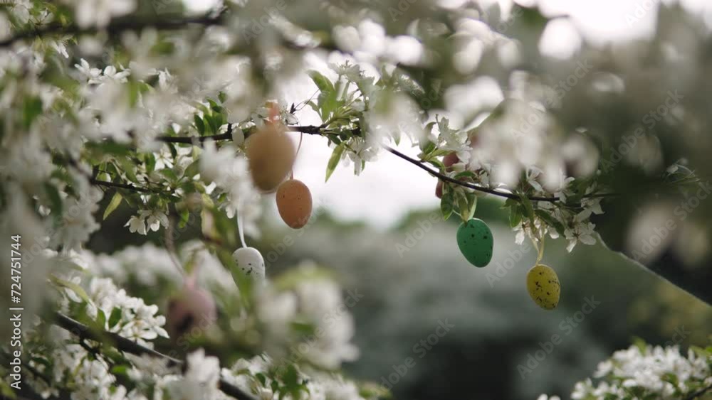 Unrecognizable man hangs green decorative quail egg on tree in backlit light. Person hangs Easter decoration on spring blooming tree in orchard in the morning.