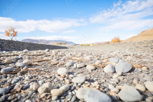 dry riverbed with scattered rocks