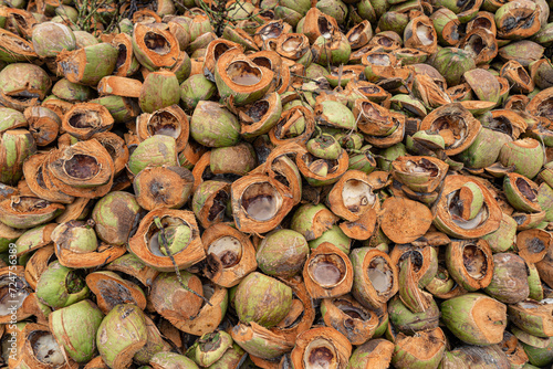 Massive piles of coconuts. Heap of green and brown coconut. photo