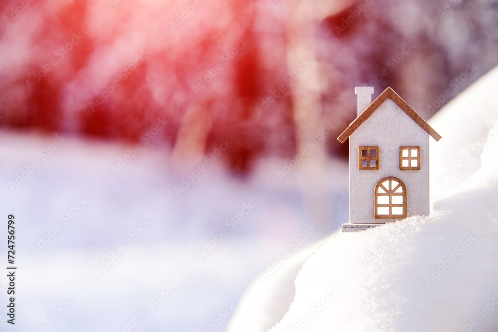 The symbol of the house stands among the snow-covered landscape
The symbol of the house stands among the snow-covered landscape