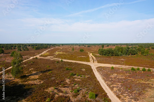 Sielmanns Naturlandschaft in der Kyritz-Ruppiner Heide	 photo