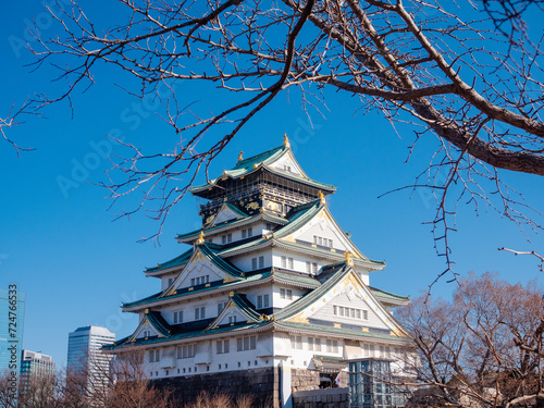 Osaka castle beauty scenery in winter
