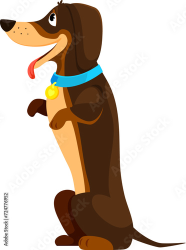 Cartoon dachshund dog puppy character perched on hind legs, wears a mischievous grin and collar. Adorable yet quirky vector doggy pet, captures attention with its playful charm and curious demeanor