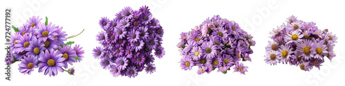 Michaelmas Daisy Flower Pile Of Heap Of Piled Up Together Hyperrealistic Highly Detailed Isolated On Transparent Background Png File © Wander Taste