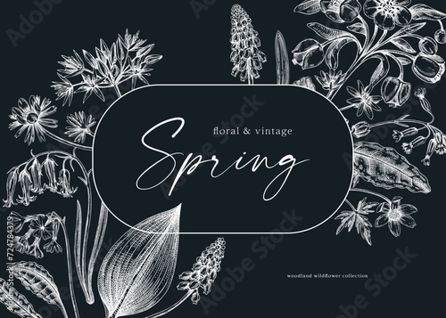 Delicate spring frame template. Hand drawn vector illustration on chalkboard. Woodland wild flower sketches. Floral background. Wildflower card, invitation design.