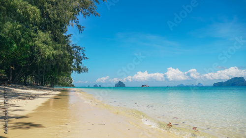 Fototapeta Naklejka Na Ścianę i Meble -  Beach on a sunny day. Kradan Island, an island in the Andaman Sea, Thailand. Tropical Island white sand beach, pine tree, turquoise water.