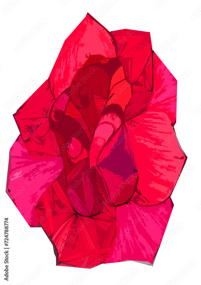 Róża. Autorski rysunek opracowany graficznie. Czerwona róża. Duży kwiat. - obrazy, fototapety, plakaty 