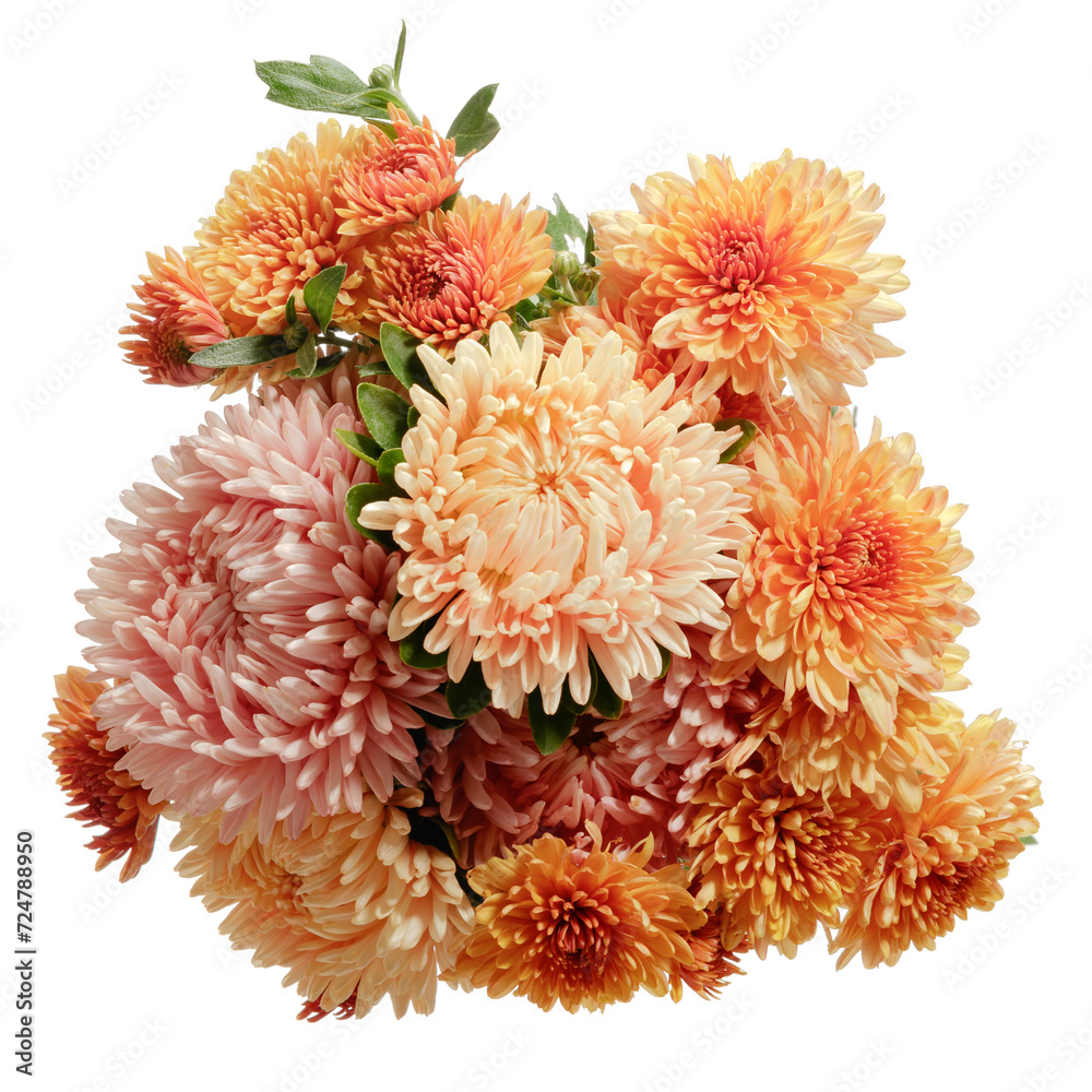 Beautiful autumn bouquet of asters and chrysanthemums isolated on white background.