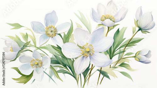 Watercolor springtime flower isolated on a white background © drizzlingstarsstudio