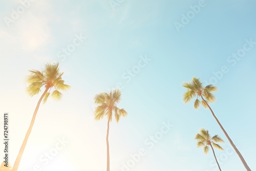 palm trees silhouettes against a bright sunny sky