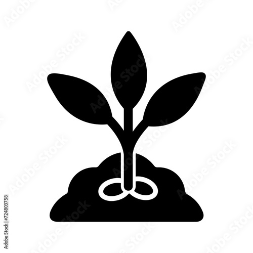 Seed Vector Icon