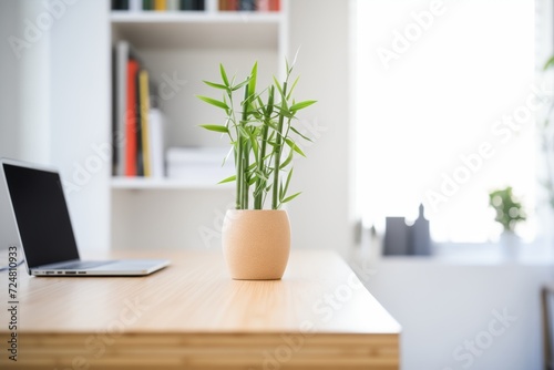 a lucky bamboo plant on a minimalist office desk