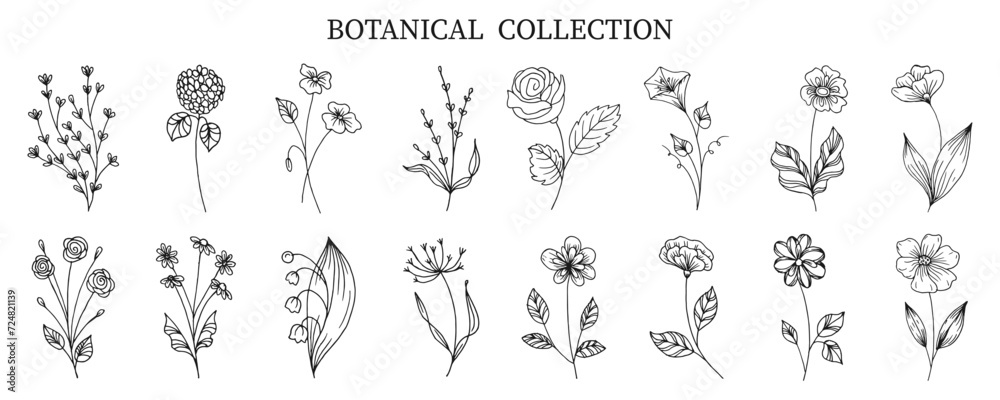 Obraz premium Botanical collection of hand drawn flowers and plants in doodle style. Sketch, line art. Icons, templates, decor elements, vector