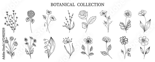 Botanical collection of hand drawn flowers and plants in doodle style. Sketch  line art. Icons  templates  decor elements  vector